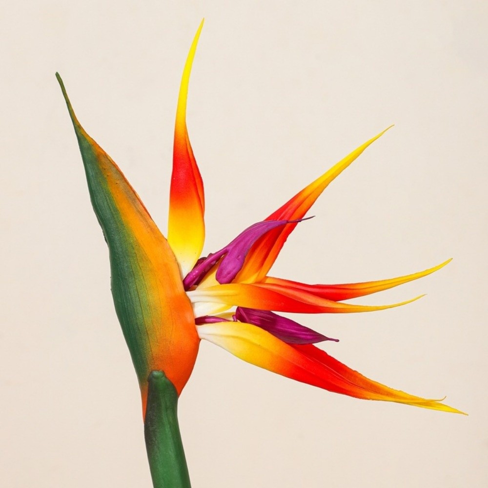 Long Stem Artificial Bird of P - Bird Paradise Strelitzia avis et prix