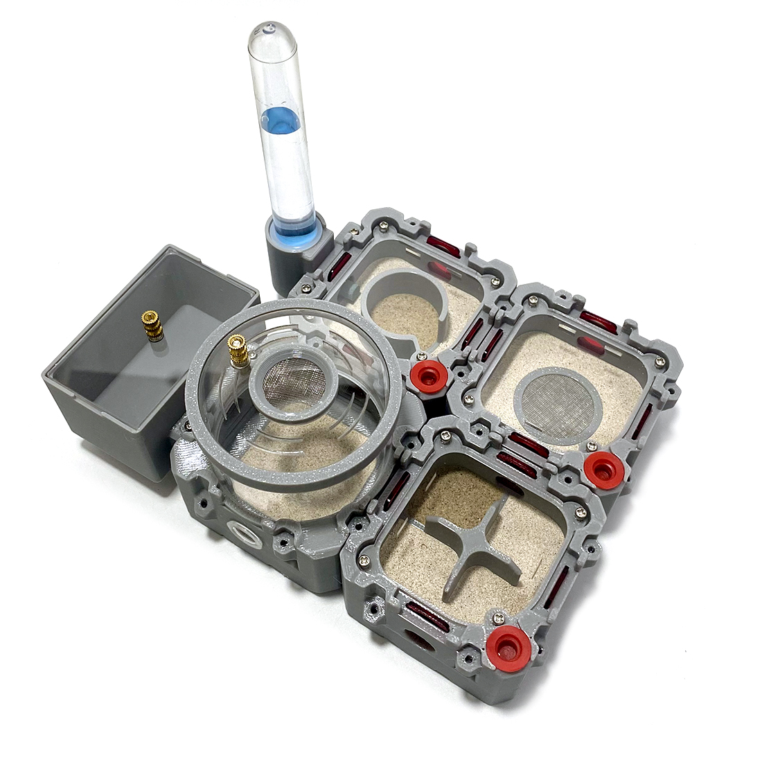【Lego】Expandale Modular Formic - Begonia Rex avis et prix
