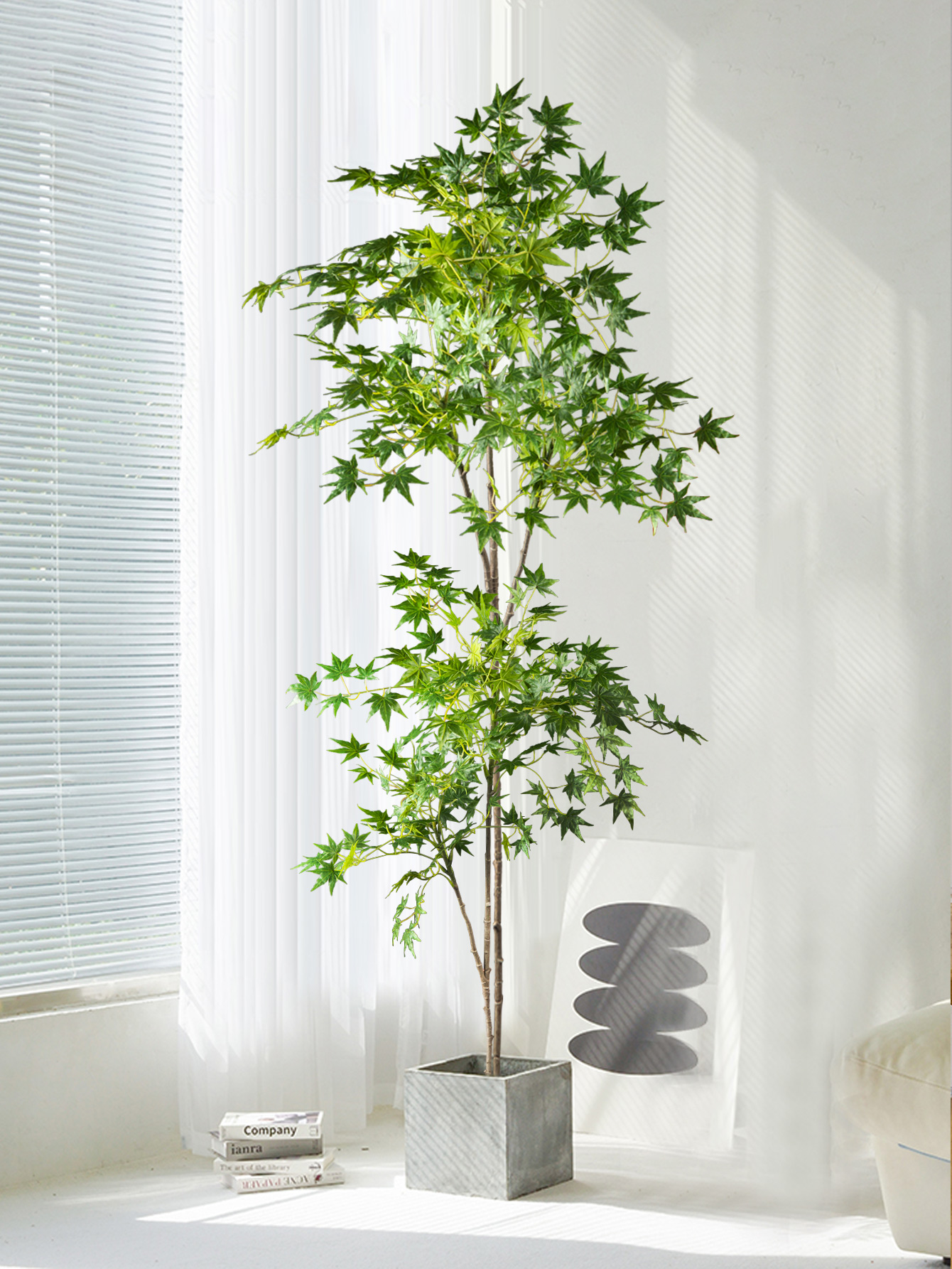 70-140cm Artificial Maple Tree - Dracaena Marginata avis et prix