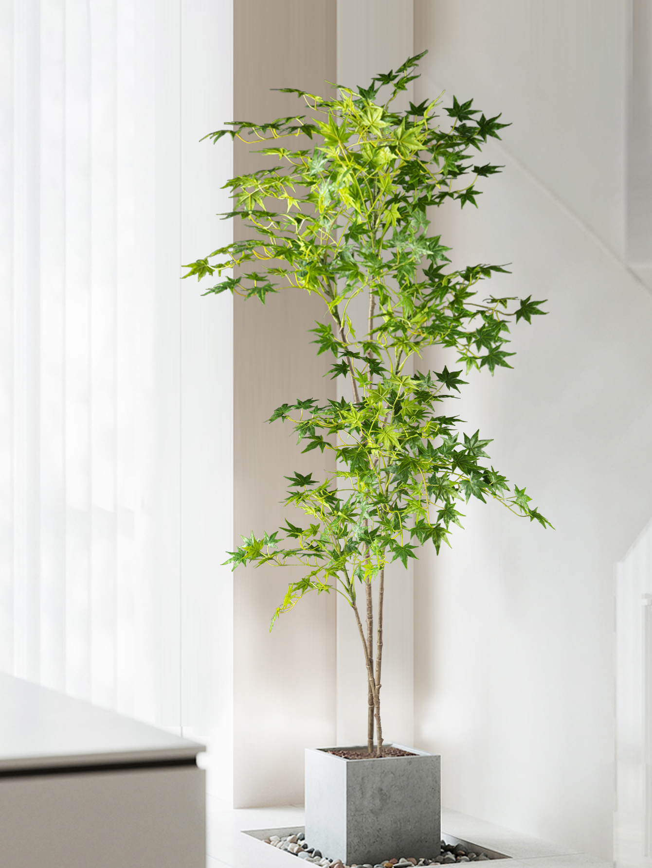 70-140cm Artificial Maple Tree - Dracaena Marginata avis et prix