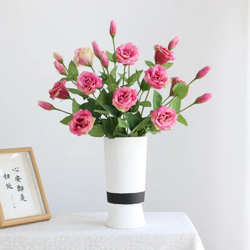 10Pcs/lot Moisturizing 2Head E - Ficus Lyrata Tree avis et prix