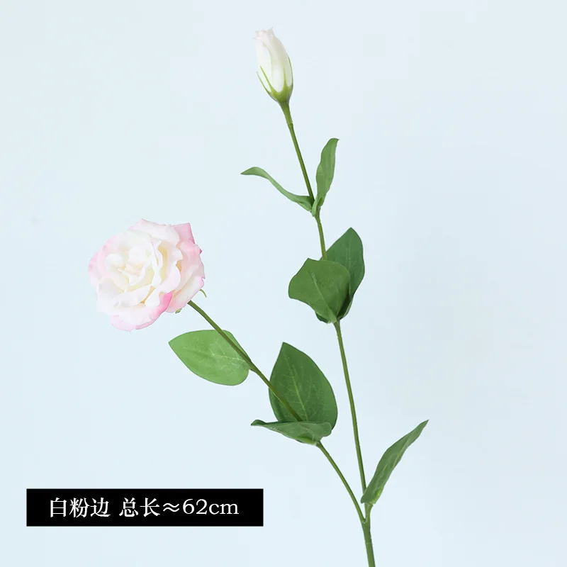 10Pcs/lot Moisturizing 2Head E - Ficus Lyrata Tree avis et prix
