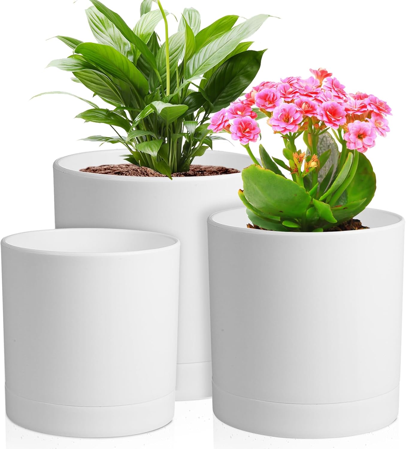 3-Pack Cylinder Flower Pots wi - Aloe Vera Pot avis et prix