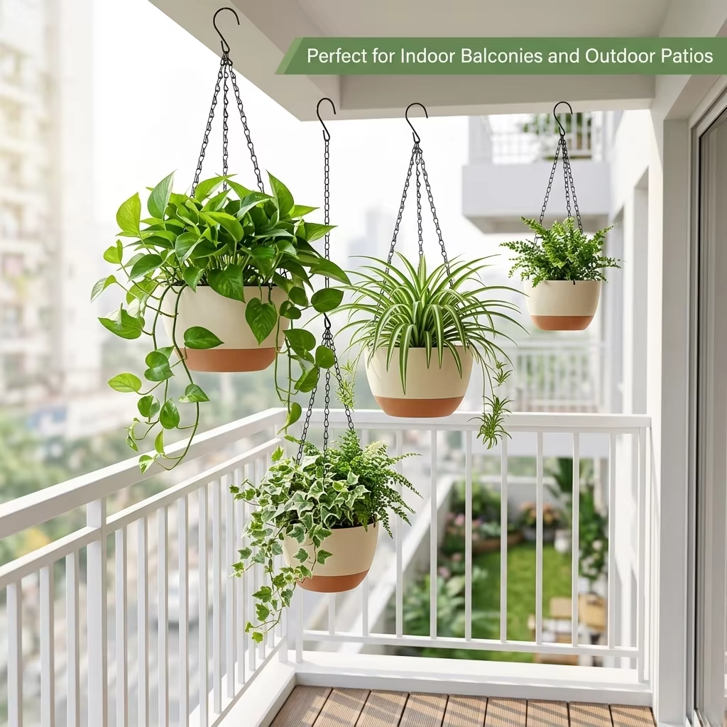 Modern Everyday Dual-Color Han - Spider Plant Hanging avis et prix