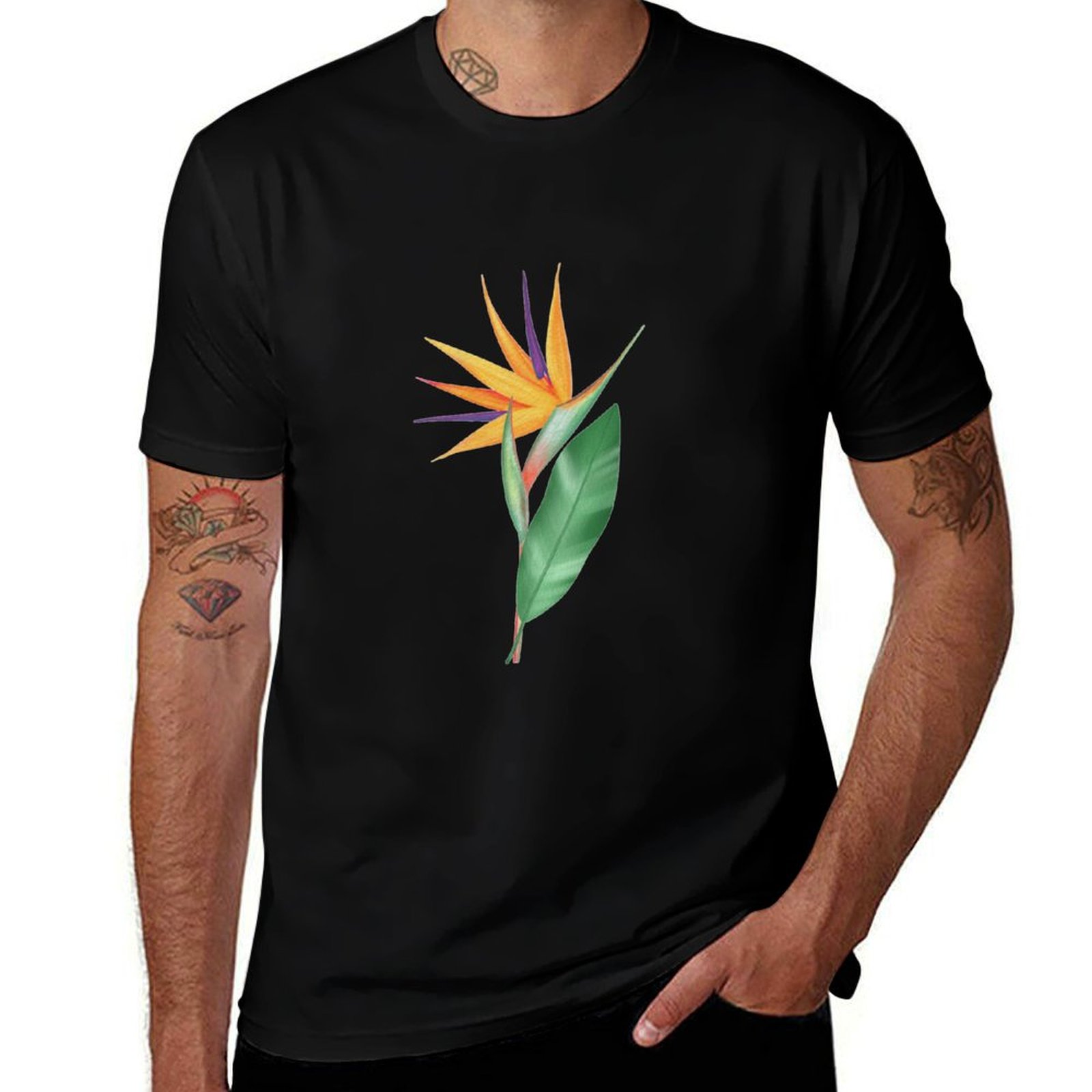 Watercolor bird of paradise fl - Bird Paradise Strelitzia avis et prix