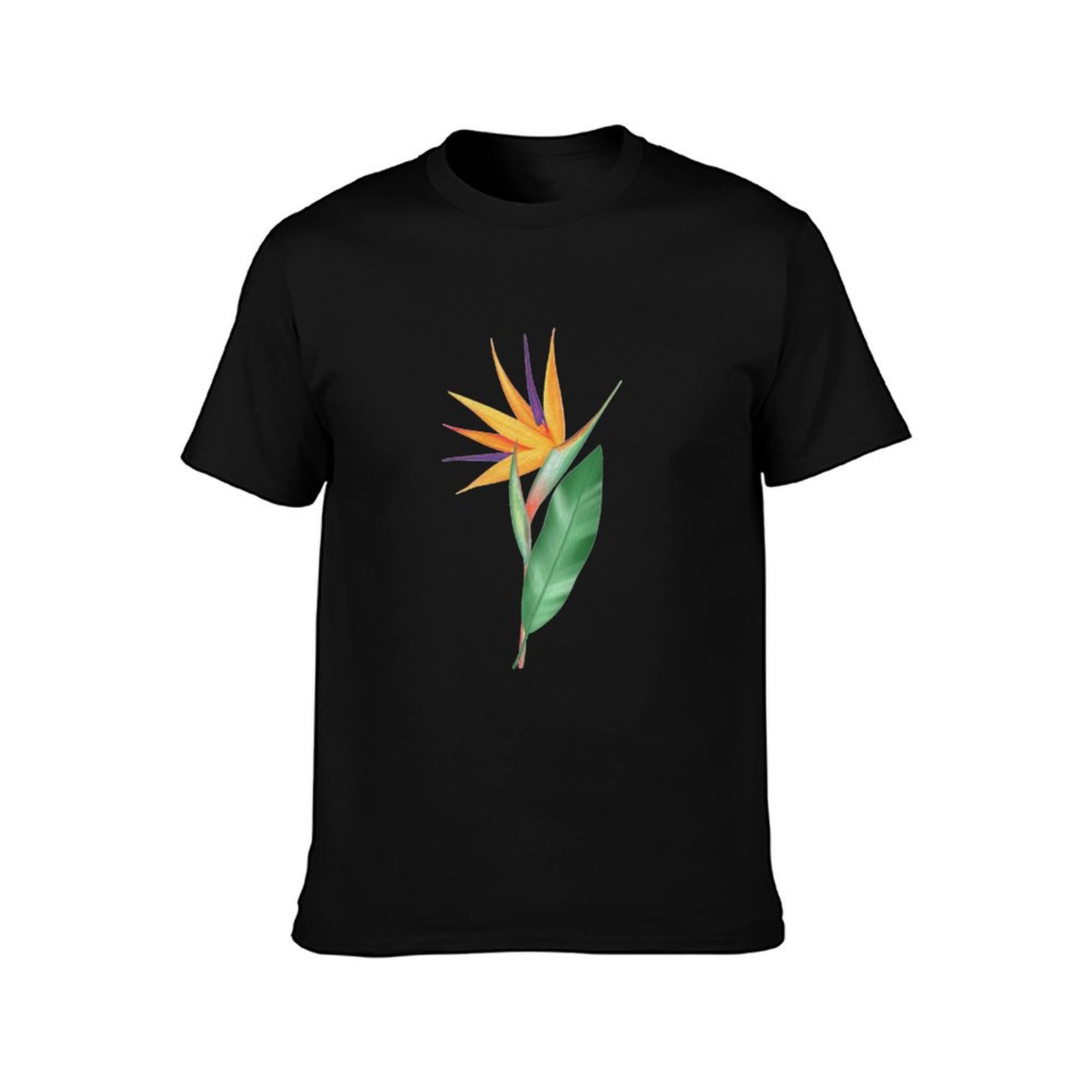 Watercolor bird of paradise fl - Bird Paradise Strelitzia avis et prix